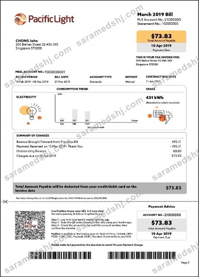 Singapore Pacific Light electricity utility bill template in Word and PDF format